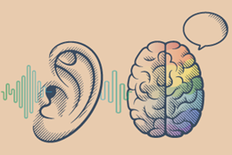 Oreille et cerveau